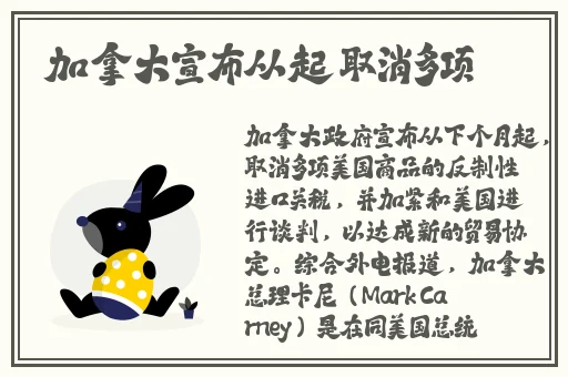 八尺夫人意大利 满天星